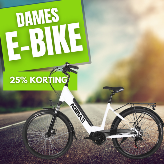 E-bike dames stadsfiets 28 Inch. 250W 36V