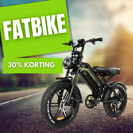 Fatbike 250W 48V 15AH E-bike